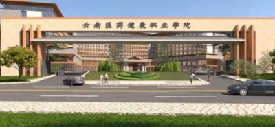 云南医药健康职业学院(专科)